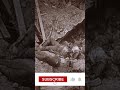 1. Weltkrieg - Kampf um Somme in Frankreich | Dokumentation | Real Stories Deutschland #shorts