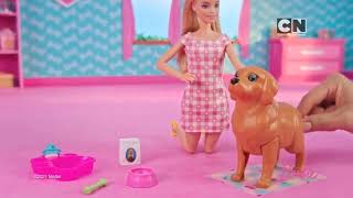 Cartoon Network Piramca - Continuity & Adverts 17Th April 2022