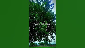 قران كريم راحه نفسيه ❤️✨       الشيخ ياسر الدوسرى❤️✨ #قرآن #راحة_نفسية #ياسر_الدوسري #اكسبلور