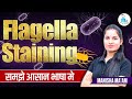 Flagella Staining | Flagella Staining in hindi | Types &amp; method
