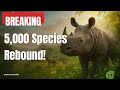 Rewilding Projects Restore Species: Ecosystems Bounce Back Globally