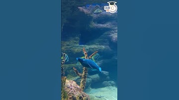 Dark Web I HDFC denies data leak in Dark web I Dark Web Vs Deep Web #currentaffairs #hdfcbank #