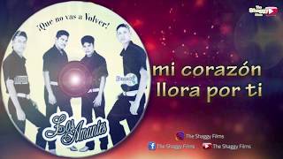 Video thumbnail of "Amor y Lagrimas / Los Amantes de Sinaloa (Cover Los Potros) Letra (Video Lyric)"