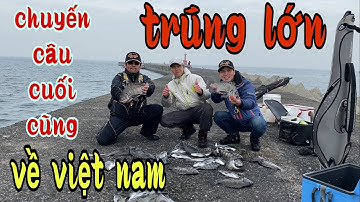 CẬN CẢNH CÁ TRÁP, CÁ HANH LÔI PHAO VÀ PHA ĐÓNG CÁ KHÔNG TRƯỢT PHÁT NÀO|| NDK Vlogs