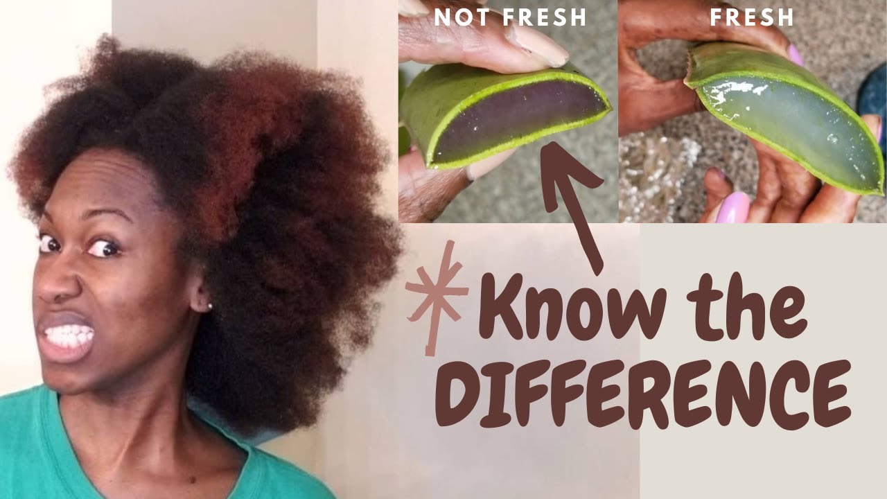 Is It Bad If Aloe Vera Turns Pink HOW TO KNOW WHEN ALOE VERA GONE BAD | Side by Side Comparisons | Easy
