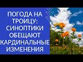 ПОГОДА НА ТРОИЦУ: СИНОПТИКИ ОБЕЩАЮТ КАРДИНАЛЬНЫЕ ИЗМЕНЕНИЯ