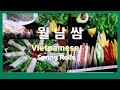 월남쌈 쉽게만들기 !!!   # 월남쌈 # Spring Roll