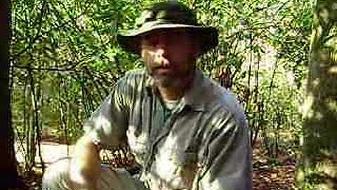 Turtle Tracks M22: Mojo