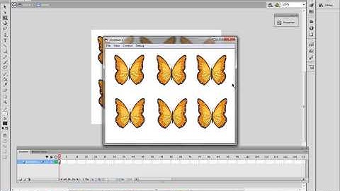 How To Create A Butterfly And Make It Fly  in FLASH cs6 TUTORIAL