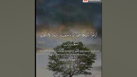 تلاوة جديدة من سورة الأعراف