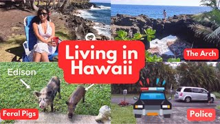 Life in Pahoa Hawaii Vlog | Police Trouble | The Arch | Moon Rise |