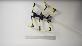 Scientists use: simple materials to create semi soft robots.