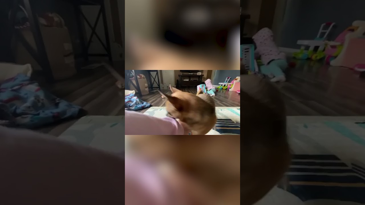 Tug o war with Turboroo 