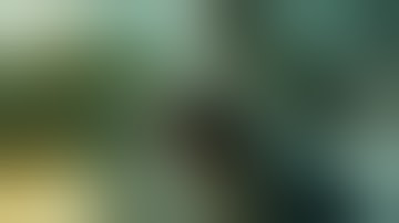 Lara Croft and The Guardian of Light. Walkthrough Part 1