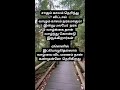 காலம் #time #timelapse #timemanagement #timetravel #timer #timeless #shortsfeed #youtubeshorts