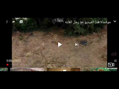 اشخاص يبنون بيت ومسبح بادوات بدائيه