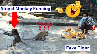 New Prank Monkey Video | Fake Tiger Prank Monkey and Dog So Funny in 2020