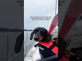 Oh what a life🤎 #dog #doglife #sailing