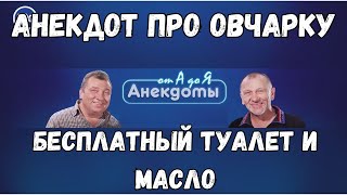 Анекдот про овчарку, бесплатный туалет и масло