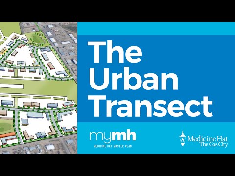 The Urban Transect