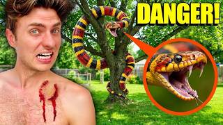 If You See This Snake in a Tree… STAY AWAY
