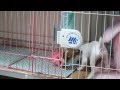 ハイテンション