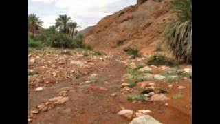 هب البراد وهيض القلب عصفور