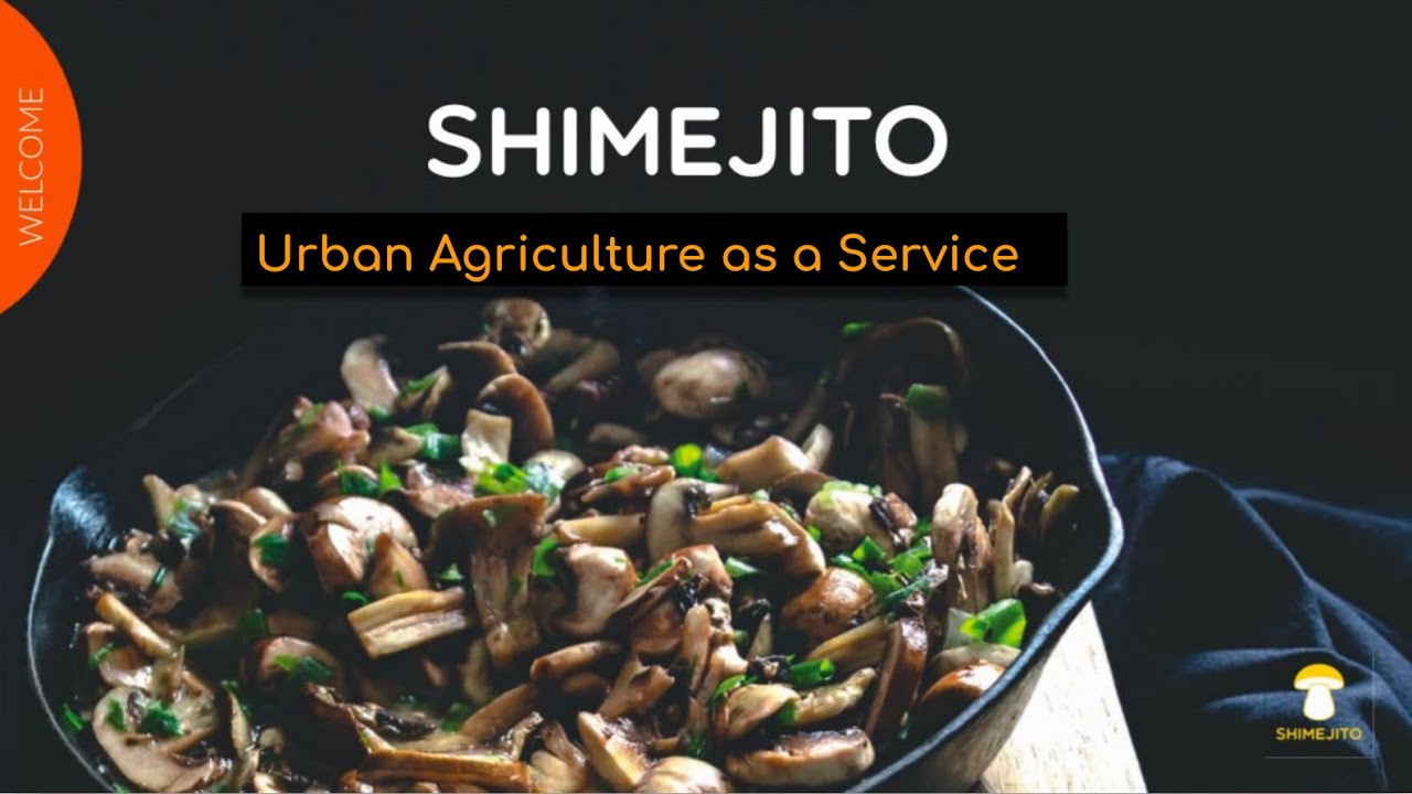 Mushroom farms in apartments? What is Shimejito?