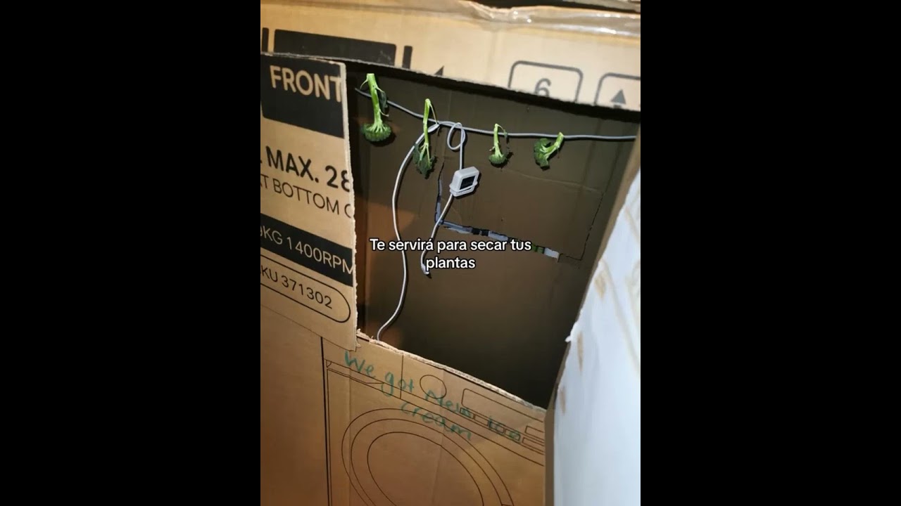 Como hacer una estación de secado para tus plantas con una caja de carton.