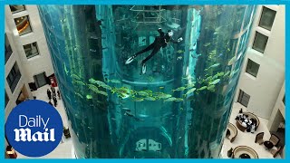 Huge fish tank bursts in Berlin hotel lobby | AquaDom Aquarium