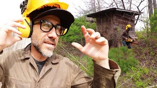 Clearing land to reveal something old/ Day in the life of building a 14 acre homestead