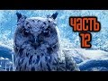 Прохождение FAR CRY PRIMAL — Часть 12: Большой Шрам