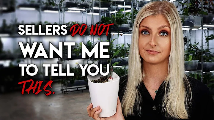 What Sellers Hope you don't find out! | Make Cash ...