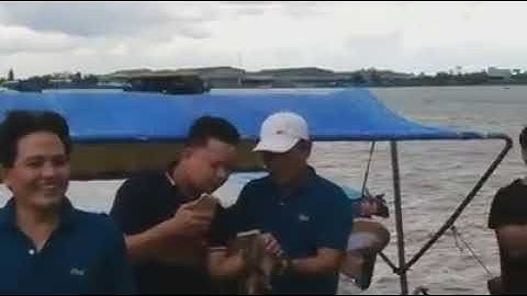 mùng 5 tháng 5 ở Tân Lộc, Thốt nốt