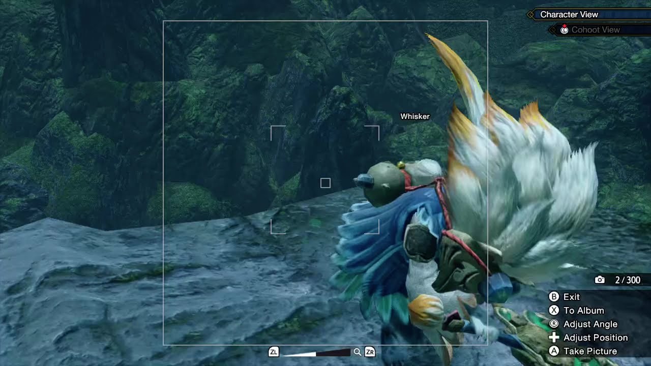 Monster Hunter Rise - Taking The Perfect Picture