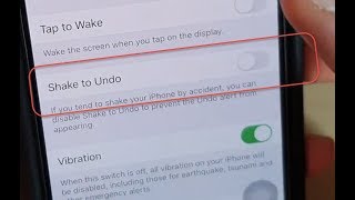 iPhone 11 Pro: How to Enable / Disable Shake to Undo screenshot 3