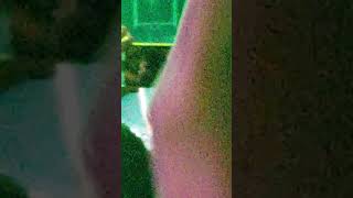 Lorde   Green Light Live at final Melodrama Tour Corona Festival Mexico City 2018