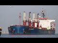 [貨輪進港] DG TREASURE🚢超靈便型散裝船 | 穿裙裙拍船船