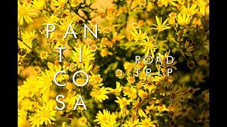 PANTICOSA ROAD TRIP