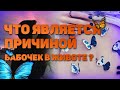 ВЛЮБЛЕННОСТЬ 💕 Узнай причину бабочек в животе