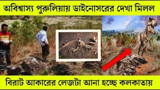 পুরুলিয়ায় ডাইনোসরের দেখা মিলল | Unknown Facts Bangla | Mayajaal Video | Advut 10