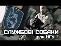 Кінологи Нацгвардії отримали 5 службових собак від волонтерів