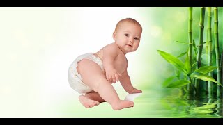 Why Bamboo is Super, Super, Super!