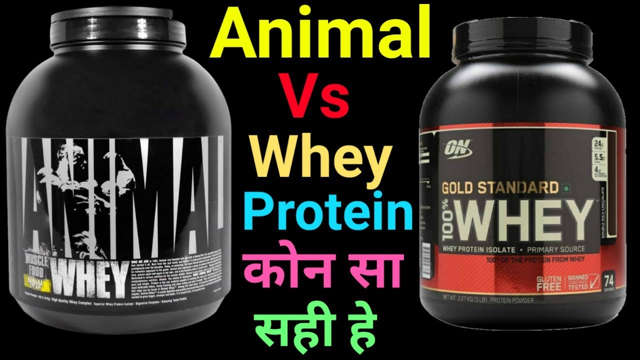 proteinpowder #Protein Animal whey Vs On gold standard Protein | Nonveg Vs  Veg Protein Supplements - YouTube
