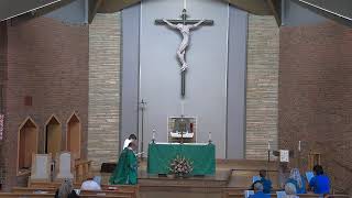 Fifteenth Sunday in Ordinary Time - Sunday Mass