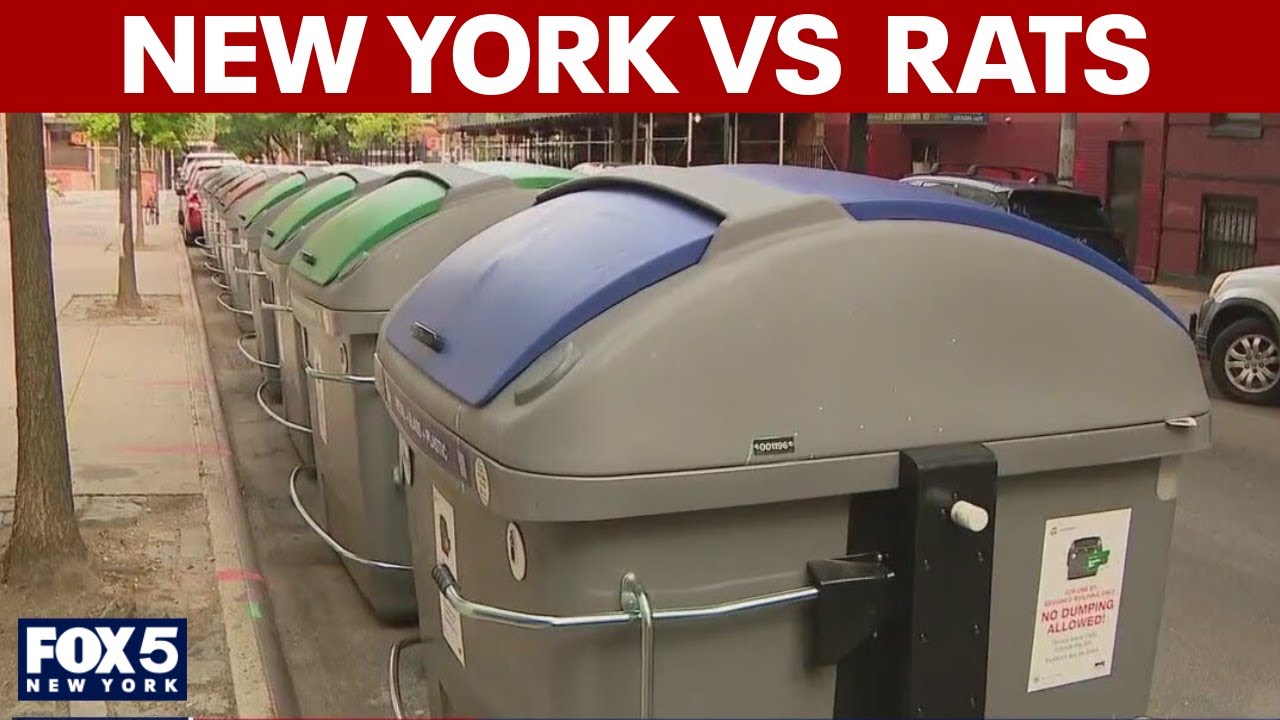 'Rats the size of cats': Adams says number of rats in NYC dropped thanks to new garbage bins