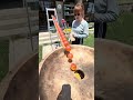 Marble Run Race ⭐︎ A Spectacular Marble Race by the Genius Guppy2