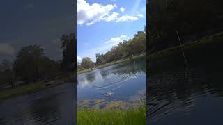 Top water hits makes me happy ! #bassfishing #indianafishing hit that subscribe button.