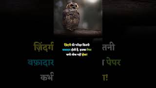 ज़िन्दगी की ❤️🥺#vrialshorts #viralvideo #motvationalspeaker