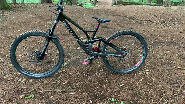 Specialized Demo 2020/21|Bikeporn|